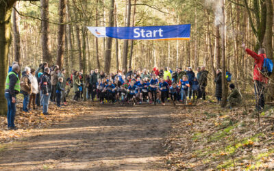 Heldense Bossen Verloscross