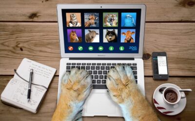 Heb je zelf een bericht?