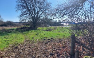 Hulp gevraagd in de Weerdbeemden