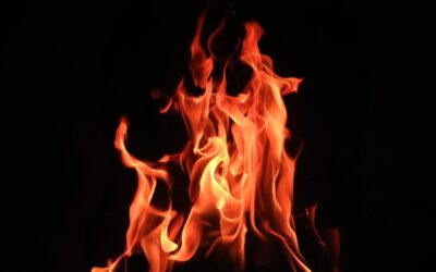 Update brand Heldense bossen