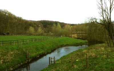 Dag wandeling IVN Helden
